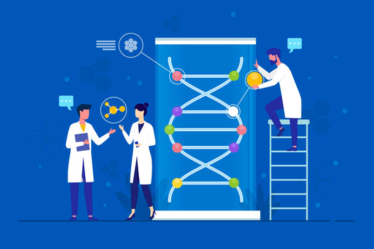 What Does Genetic Testing Reveal?